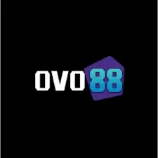 Info Lengkap Aplikasi ovo88 Versi Terbaru